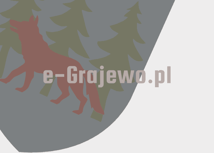 Grajewo ogłoszenia: Poszukiwany Kierowca C+E

* Opis stanowiska:

Praca na chłodni...