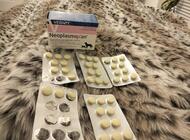 Grajewo ogłoszenia: Sprzedam 40 tabletek Neoplasmoxan przeznaczonych dla psa lub kota.... - zdjęcie