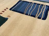 Grajewo ogłoszenia: Sprzedam dywan taki jak na zdjęciu       150/200 w dobrym stanie - zdjęcie