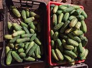Grajewo ogłoszenia: Sprzedam ogórki duże idealne do sałatek i w plasterki 
Cena 4... - zdjęcie